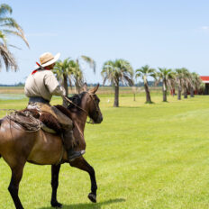Corrientes, Argentina - Globetrotting horse riding holidays