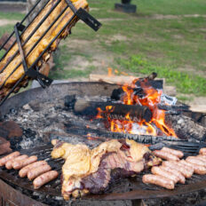 Corrientes, Argentina - Globetrotting horse riding holidays