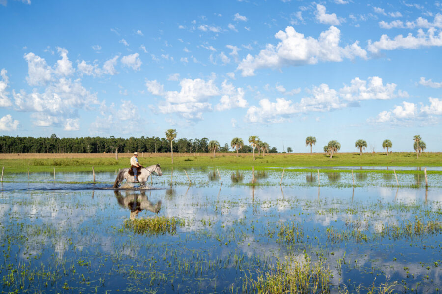 Corrientes, Argentina - Globetrotting horse riding holidays