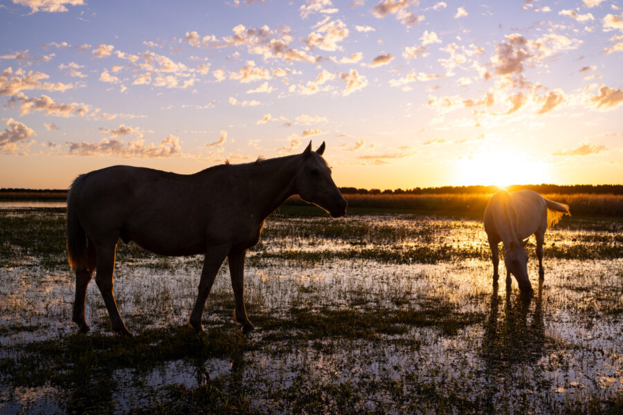 Corrientes, Argentina - Globetrotting horse riding holidays