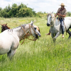 Corrientes, Argentina - Globetrotting horse riding holidays