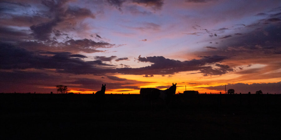Corrientes, Argentina - Globetrotting horse riding holidays