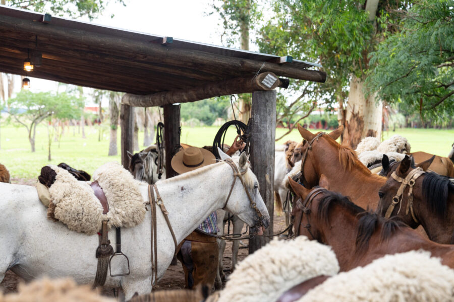 Corrientes, Argentina - Globetrotting horse riding holidays