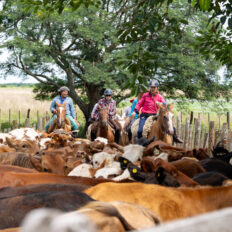 Corrientes, Argentina - Globetrotting horse riding holidays