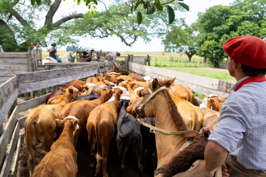 Corrientes, Argentina - Globetrotting horse riding holidays
