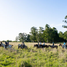Corrientes, Argentina - Globetrotting horse riding holidays