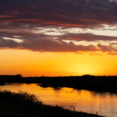 Corrientes, Argentina - Globetrotting horse riding holidays