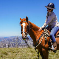 The Kosciuszko Ride, New South Wales, Australia - Globetrotting horse riding holidays