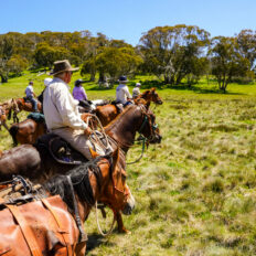 The Kosciuszko Ride, New South Wales, Australia - Globetrotting horse riding holidays