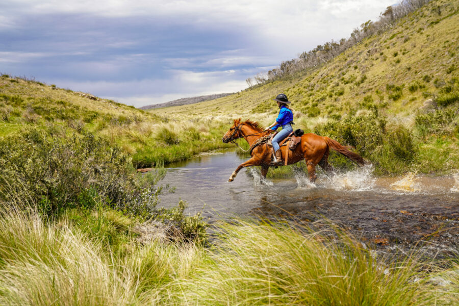 The Kosciuszko Ride, New South Wales, Australia - Globetrotting horse riding holidays