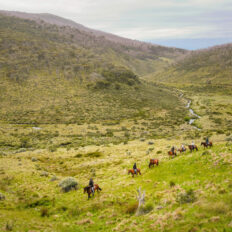 The Kosciuszko Ride, New South Wales, Australia - Globetrotting horse riding holidays