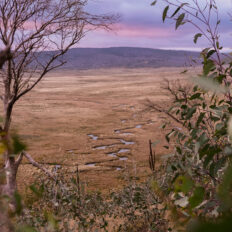 The Kosciuszko Ride, New South Wales, Australia - Globetrotting horse riding holidays
