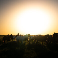 Corrientes, Argentina - Globetrotting horse riding holidays