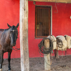 Corrientes, Argentina - Globetrotting horse riding holidays