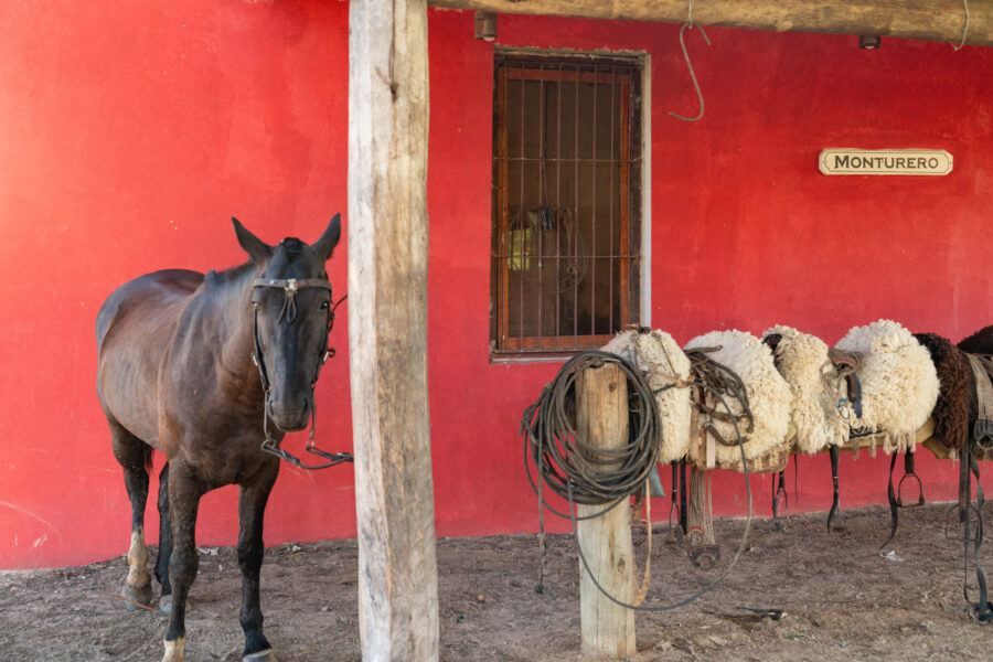 Corrientes, Argentina - Globetrotting horse riding holidays