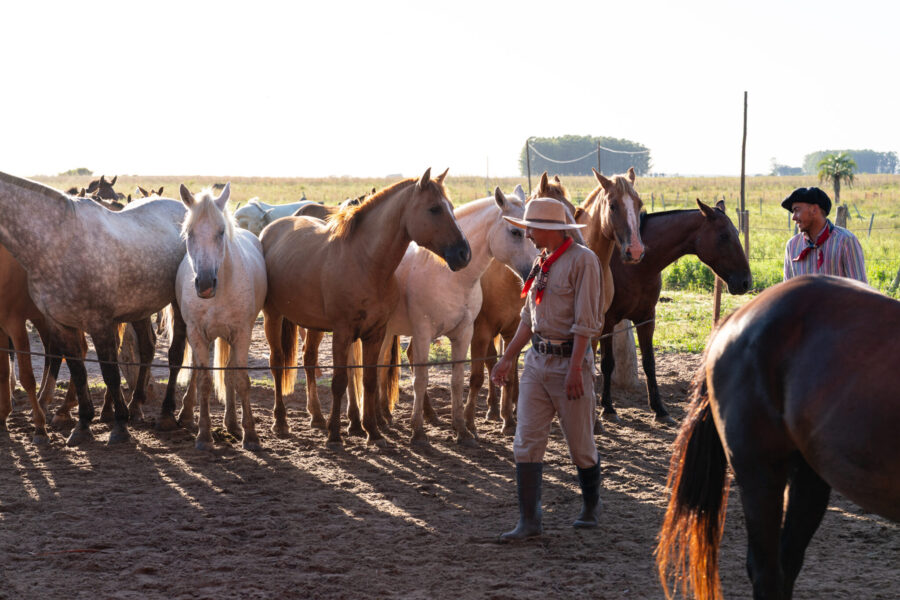 Corrientes, Argentina - Globetrotting horse riding holidays