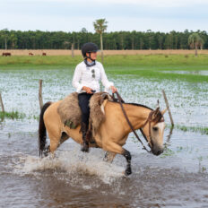 Corrientes, Argentina - Globetrotting horse riding holidays