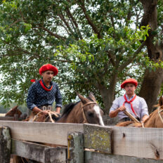 Corrientes, Argentina - Globetrotting horse riding holidays