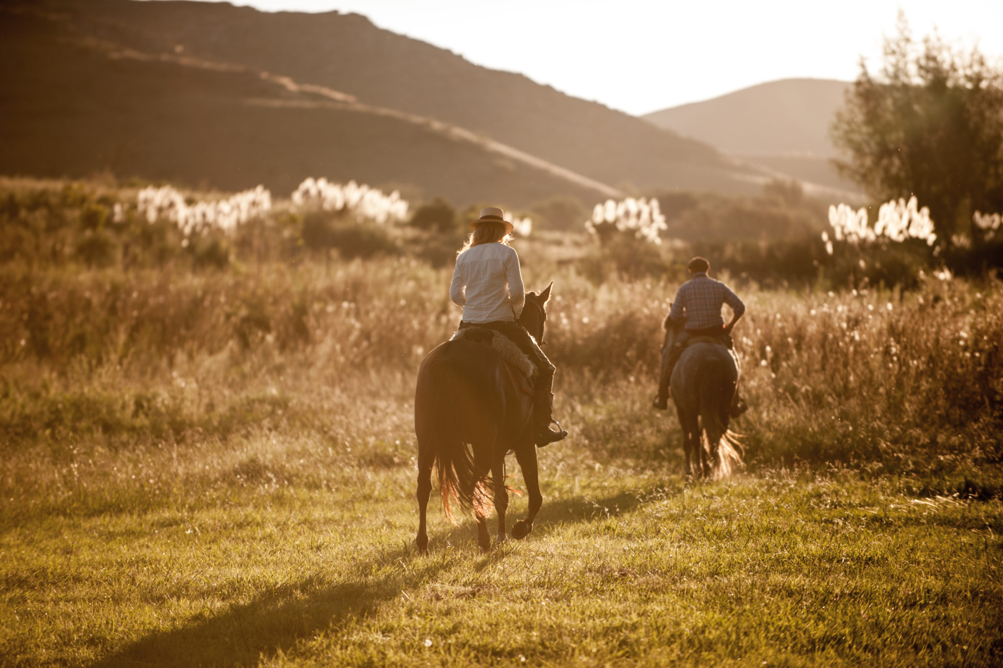 horse riding holiday argentina