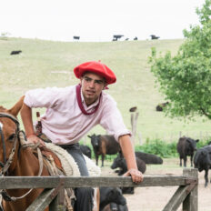 Estancia ride in Sierras Chicas, Argentina - Globetrotting horse riding holidays