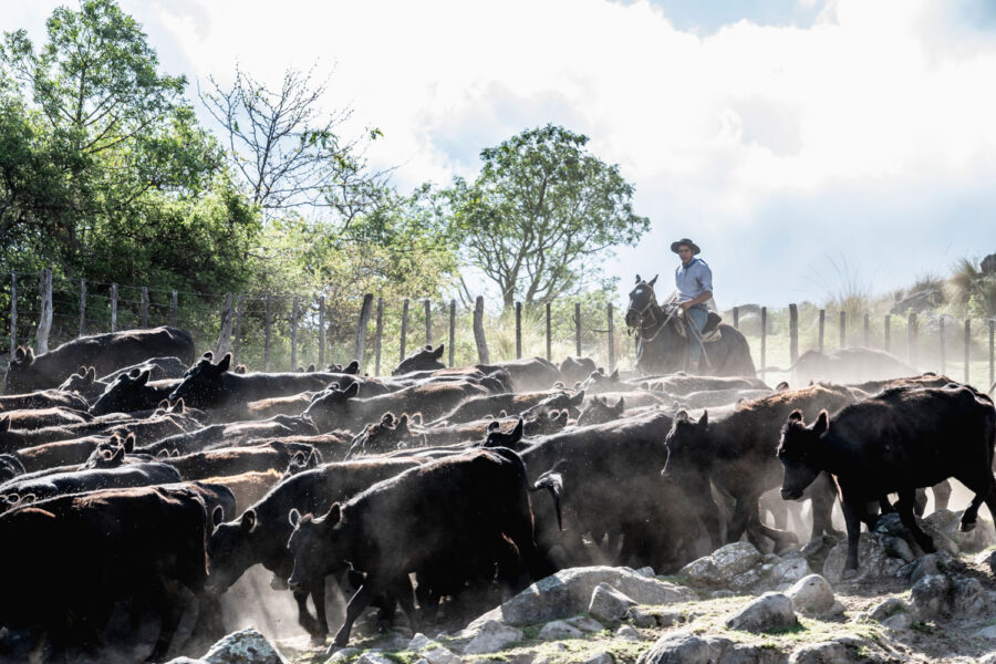 Estancia ride in Sierras Chicas, Argentina - Globetrotting horse riding holidays