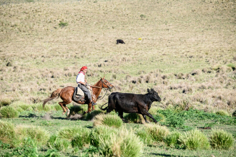 Estancia ride in Sierras Chicas, Argentina - Globetrotting horse riding holidays
