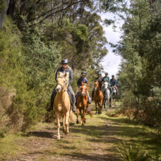 Cradle to Coast Ride, Tasmania - Globetrotting horse riding holidays