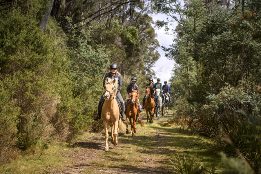 Cradle to Coast Ride, Tasmania - Globetrotting horse riding holidays