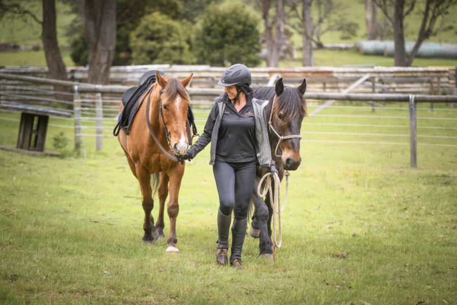 Cradle to Coast Ride, Tasmania - Globetrotting horse riding holidays