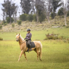 Cradle to Coast Ride, Tasmania - Globetrotting horse riding holidays