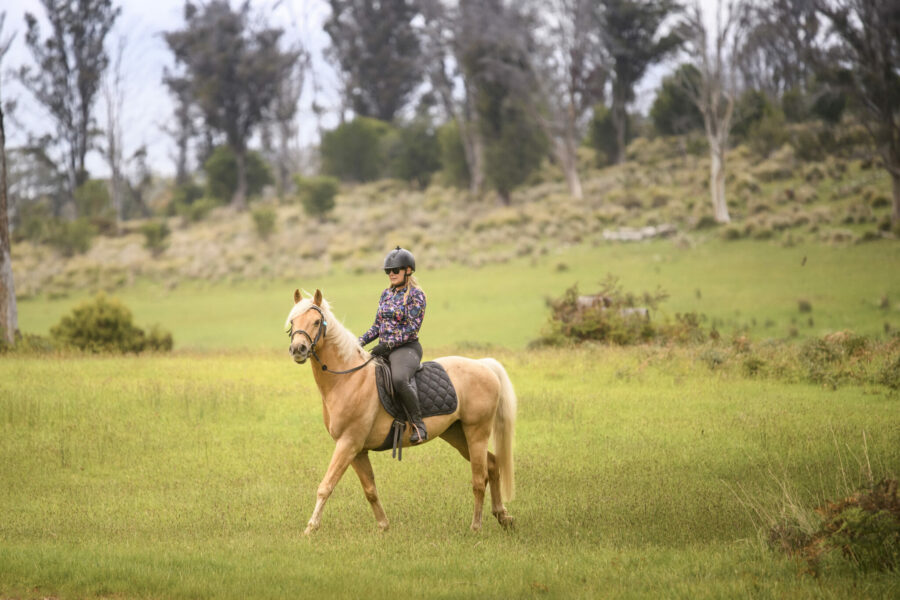 Cradle to Coast Ride, Tasmania - Globetrotting horse riding holidays
