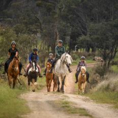 Cradle to Coast Ride, Tasmania - Globetrotting horse riding holidays