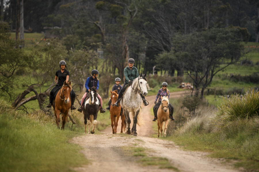 Cradle to Coast Ride, Tasmania - Globetrotting horse riding holidays