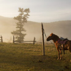 Khovsgol & Arhangay Rides, Mongolia - Globetrotting horse riding holidays