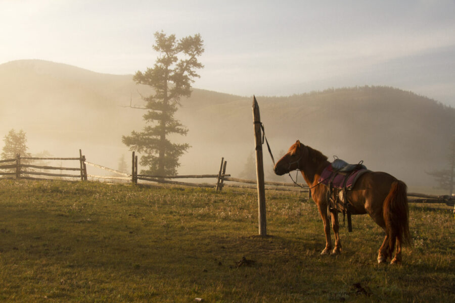 Khovsgol & Arhangay Rides, Mongolia - Globetrotting horse riding holidays