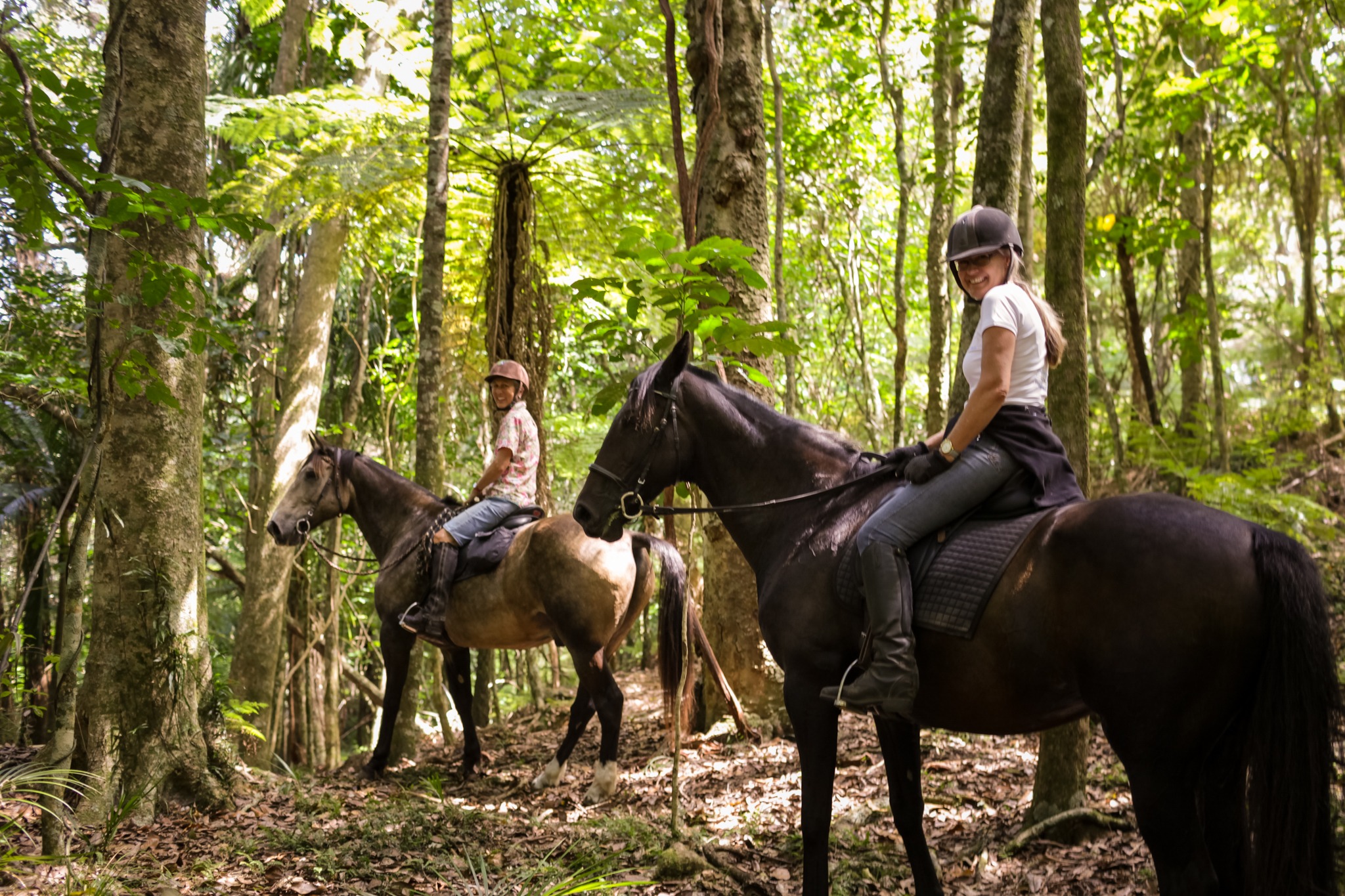 horse riding holiday New Zealand North Island, Twin Coast Adventure with Dromgool Horsemanship