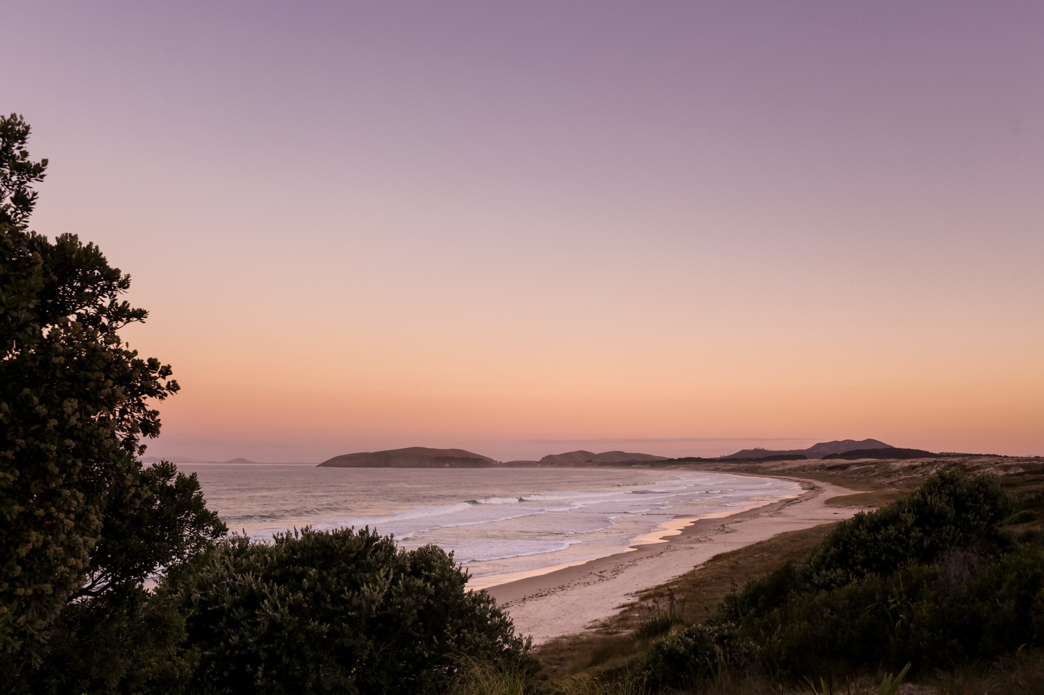 horse riding holiday New Zealand North Island, Twin Coast Adventure with Dromgool Horsemanship