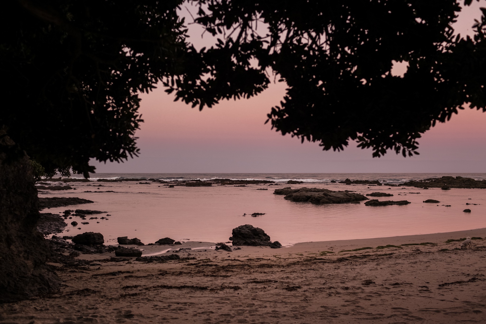 horse riding holiday New Zealand North Island, Twin Coast Adventure with Dromgool Horsemanship