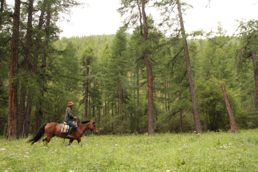 Khovsgol & Arhangay Rides, Mongolia - Globetrotting horse riding holidays