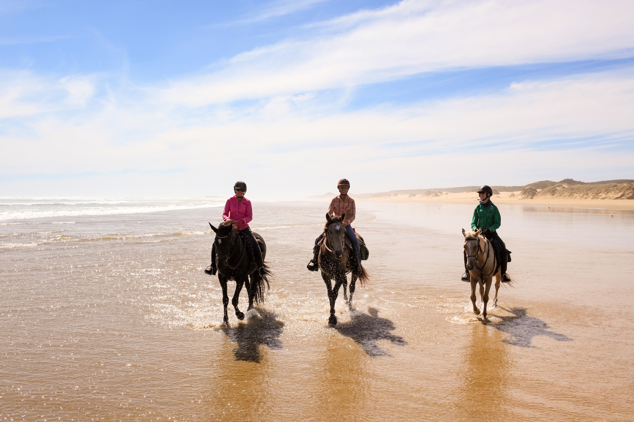 horse riding holiday New Zealand North Island, Twin Coast Adventure with Dromgool Horsemanship