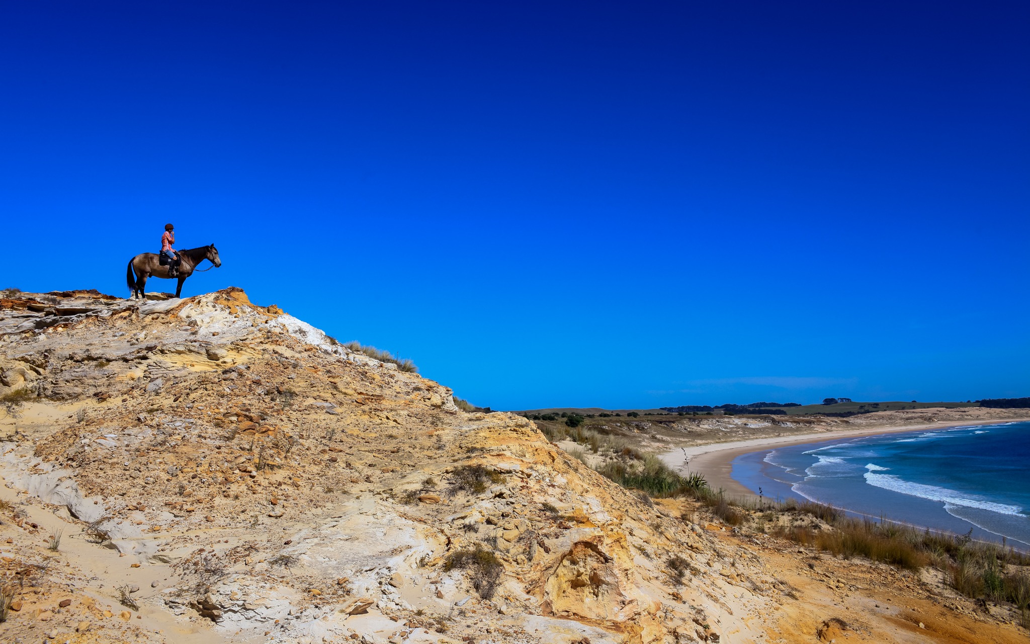 horse riding holiday New Zealand North Island, Twin Coast Adventure with Dromgool Horsemanship
