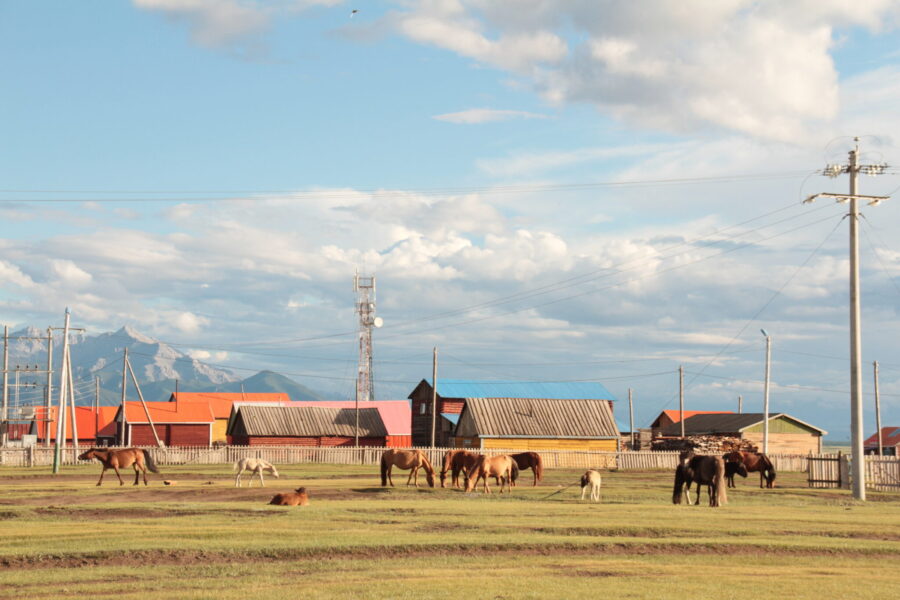 Khovsgol & Arhangay Rides, Mongolia - Globetrotting horse riding holidays