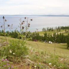 Khovsgol & Arhangay Rides, Mongolia - Globetrotting horse riding holidays