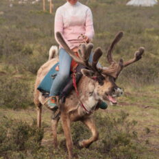 Khovsgol & Arhangay Rides, Mongolia - Globetrotting horse riding holidays