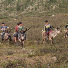 Khovsgol & Arhangay Rides, Mongolia - Globetrotting horse riding holidays