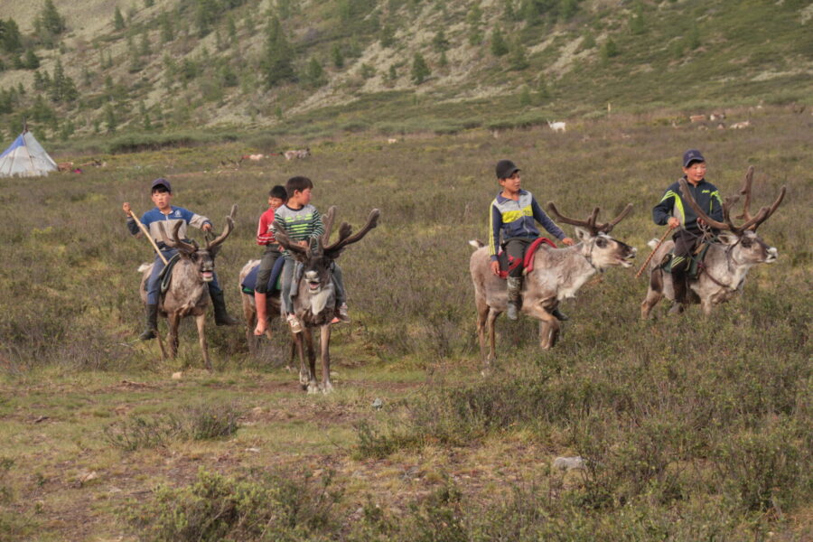 Khovsgol & Arhangay Rides, Mongolia - Globetrotting horse riding holidays