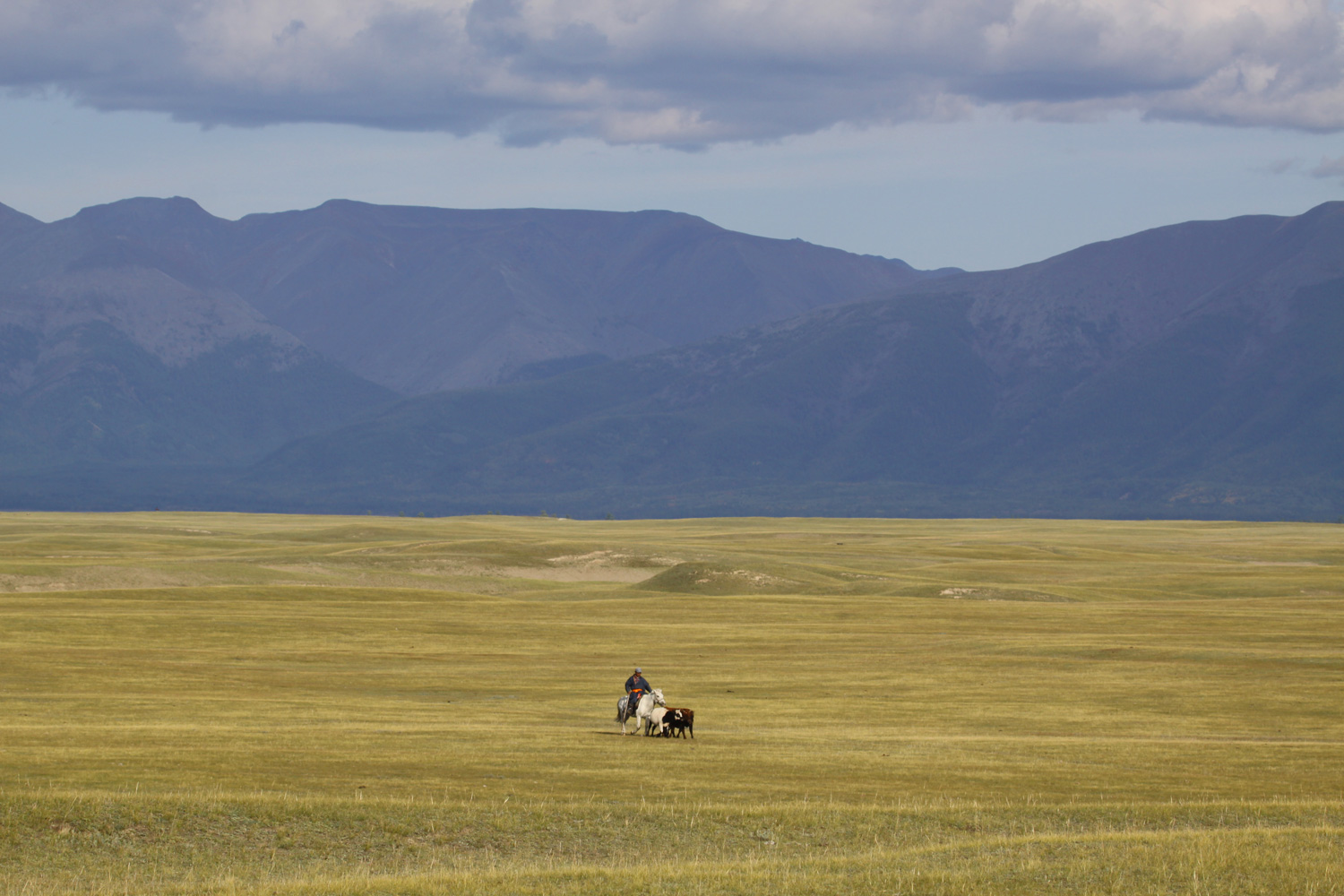 horse riding holiday mongolia