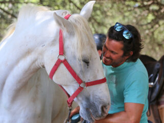 Globetrotting Guest Horse: Abraço - horse riding holidays in Portugal - Globetrotting