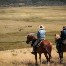 The Kosciuszko Ride, New South Wales, Australia - Globetrotting horse riding holidays