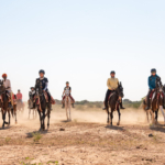 The Marwari Ride, India - Globetrotting horse riding holidays
